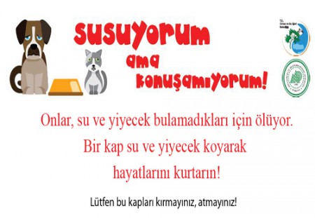 SUSUYORUM AMA KONUŞAMIYORUM! ONLAR, SU VE YİYECEK BULAMADIKLARI İÇİN ÖLÜYOR. BİR KAP SU VE YİYECEK KOYARAK HAYATLARINI KURTARIN! LÜTFEN BU KAPLARI KIRMAYINIZ, ATMAYINIZ!