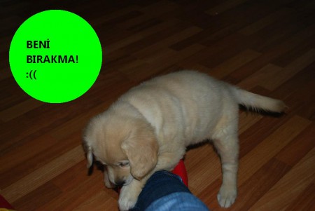 ONLARI BU DÜNYADA YALNIZ BIRAKMAYIN